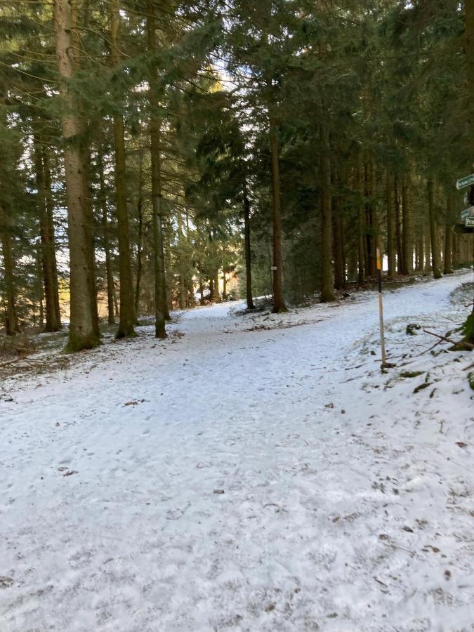 Hecht Ferienvermietung - Fewo Turmfalke Mit Sauna Und Schwimmbad Sankt Englmar Exterior photo